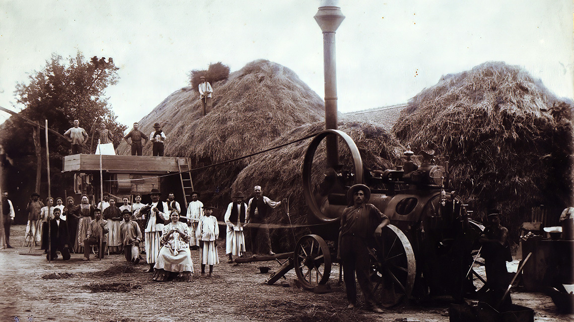 Development of the First Serbian Agricultural Cooperative in Vranjevo: History and Progress