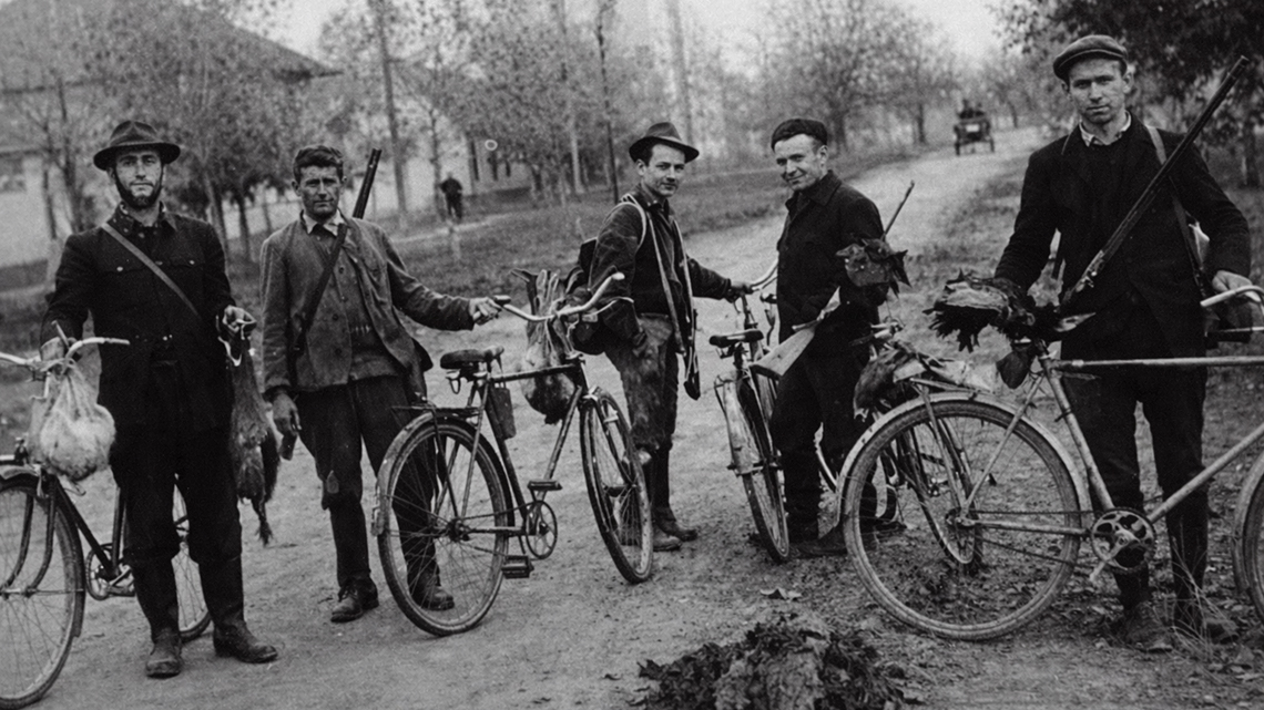 Development of Hunting in Novi Bečej 1971–1982