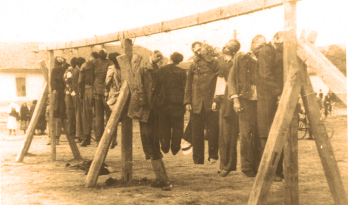 19. septembar 1941. žrtve streljanja obešene su na Žitnom trgu