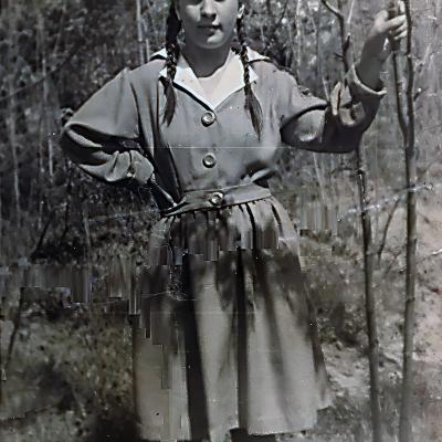 Ljubica Nikolić